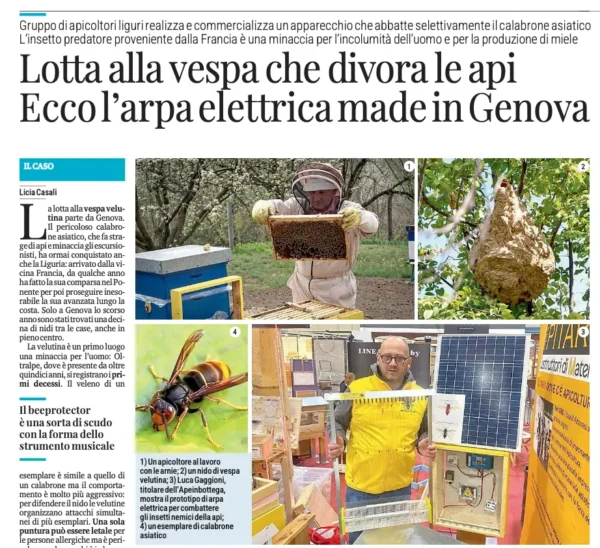 Lotta alla vespa che divora le api Ecco l’arpa elettrica made in Genova